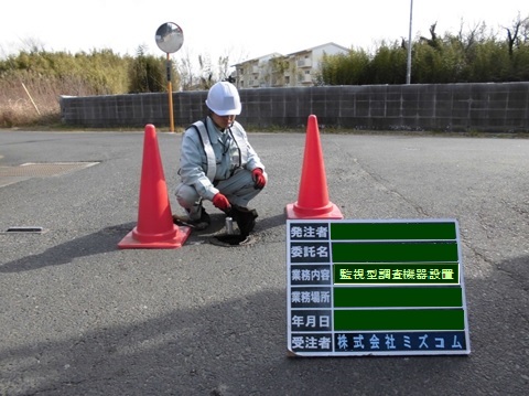 調査-監視型調査